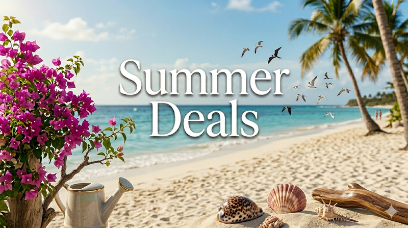 Summer Deals